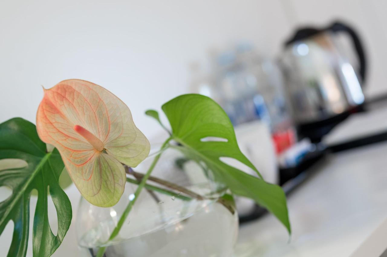 La Ripa Boutique Hotel Albino Zewnętrze zdjęcie